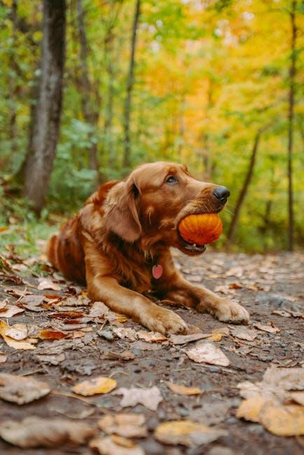 Recognizing Behavioral Changes in Your Puppy