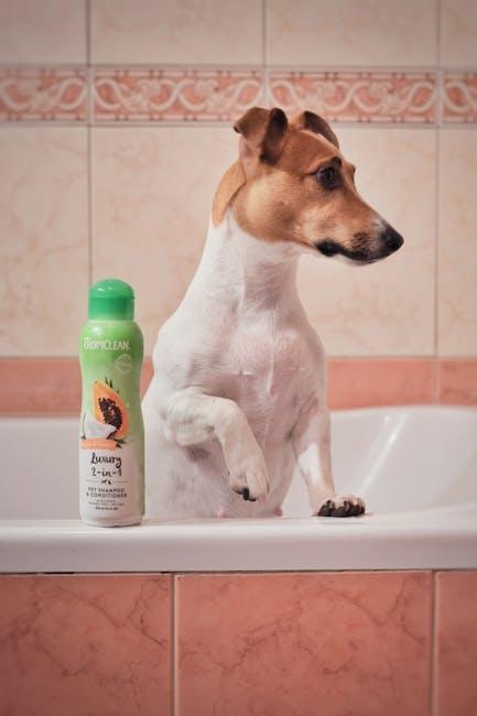 Essential Bathing Products for a Happy and Clean Pup