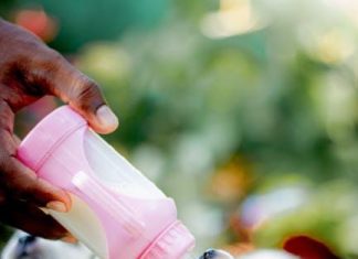 Feeding Your Puppy Right: Tips for First Time Owners