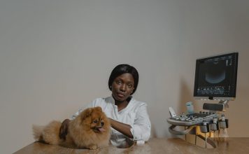 How to Help Your Puppy Stay Strong and Healthy