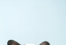 How to Prevent Ear Infections in Puppies
