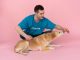 How to Choose the Best Puppy Food for Optimal Health