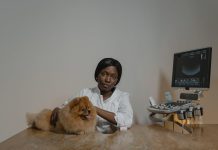 Best Ways to Prevent Puppy Health Problems Naturally