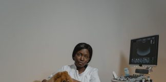Best Ways to Prevent Puppy Health Problems Naturally