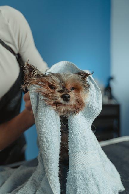 Creating a Grooming Routine to Minimize Fur Loss