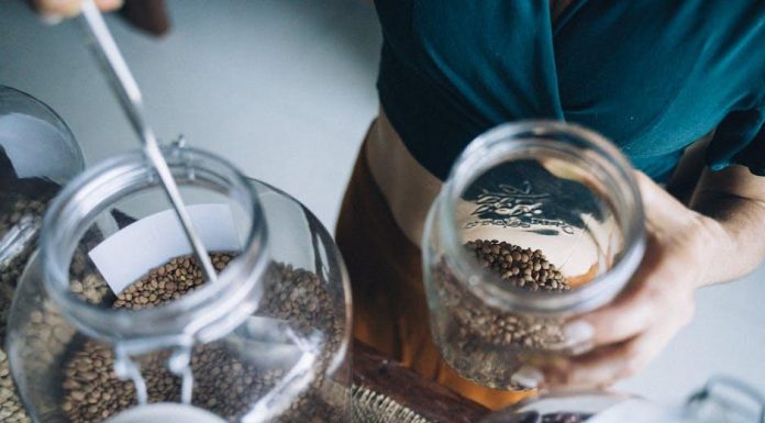 Is Grain Free Puppy Food Better for Your Dog?
