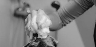 The Best Puppy Shampoos for a Healthy Coat