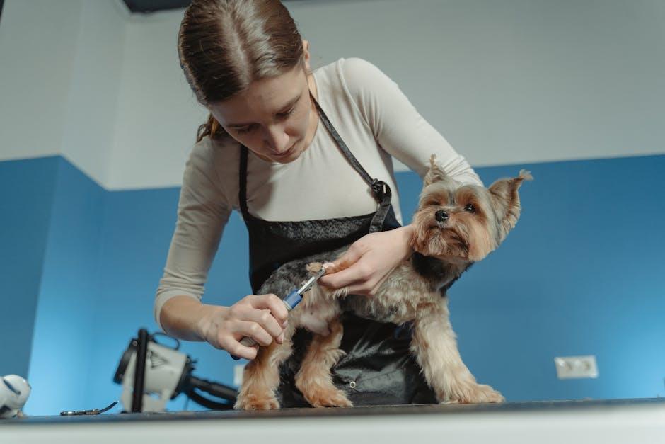 Creating a Peaceful Environment for a Stress-Free Grooming Experience