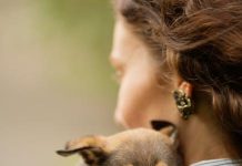 How to Keep Your Puppy Safe From Fleas and Ticks