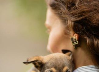 How to Keep Your Puppy Safe From Fleas and Ticks