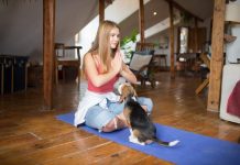 How to Prevent Common Puppy Health Issues With Regular Care