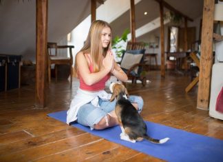 How to Prevent Common Puppy Health Issues With Regular Care