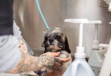 How to Bathe Your Puppy Without Causing Stress