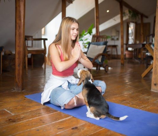 The Best Puppy Health Advice for First Time Owners