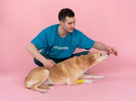 Best Puppy Food for Healthy Coat and Skin