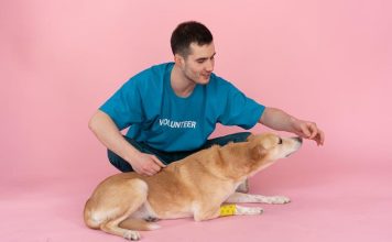 Best Ways to Choose the Right Puppy Food for Your Dog