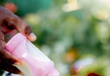 Puppy Health Tips to Prevent Sickness and Disease Puppy Health Tips to Prevent Sickness and Disease