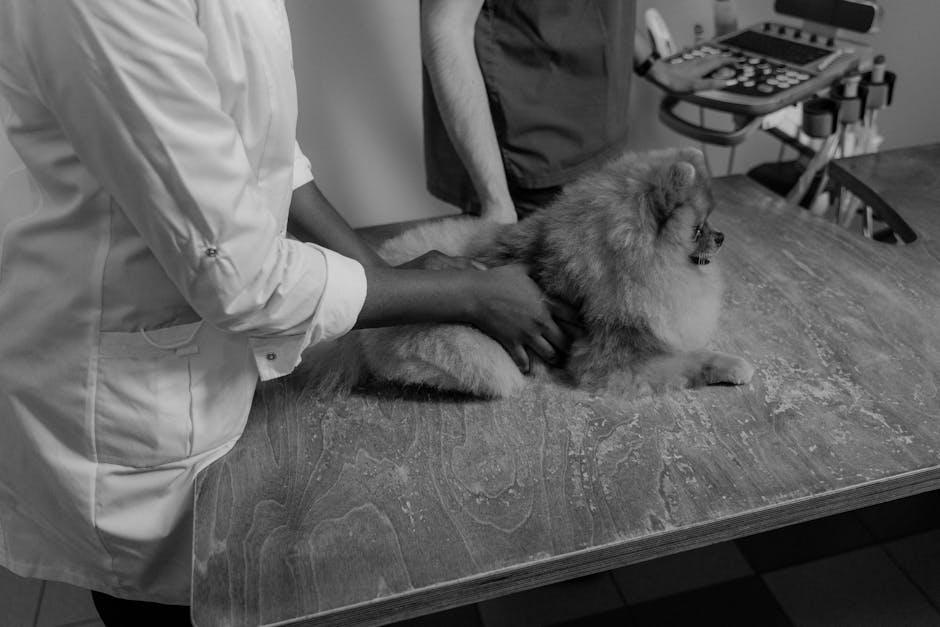 Establishing a Consistent Veterinary Care Routine