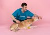 Best Puppy Food to Promote Healthy Digestion Best Puppy Food to Promote Healthy Digestion