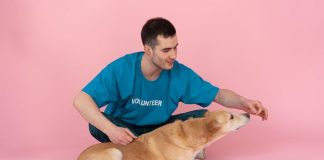 Best Puppy Food to Promote Healthy Digestion