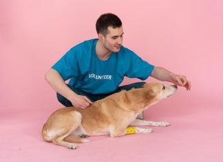 Best Puppy Food to Promote Healthy Digestion