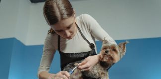 Best Ways to Trim Your Puppys Nails Without Stress