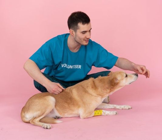 Best Puppy Food for Healthy Bones and Joints