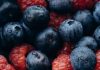 Puppy Food Ingredients That You Should Avoid