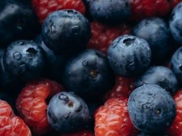 Puppy Food Ingredients That You Should Avoid
