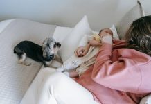 How to Keep Your Puppys Bedding Clean and Fresh