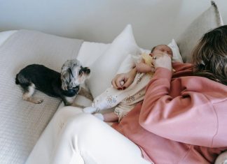 How to Keep Your Puppys Bedding Clean and Fresh How to Keep Your Puppys Bedding Clean and Fresh