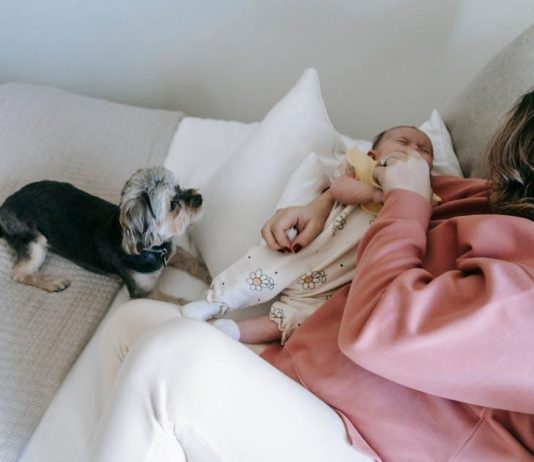 How to Keep Your Puppys Bedding Clean and Fresh How to Keep Your Puppys Bedding Clean and Fresh