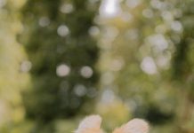 Simple Tips for Preventing Puppy Parasites