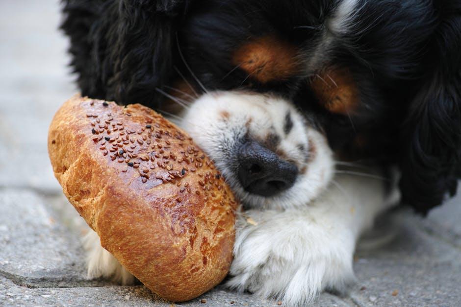 Tailoring Food Options to Your Puppys Breed and Size