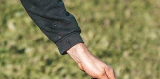 How to Create a Puppy Feeding Schedule That Works