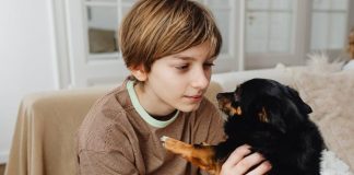 How to Care for Your Puppys Eyes and Ears