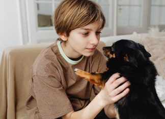 How to Care for Your Puppys Eyes and Ears How to Care for Your Puppys Eyes and Ears