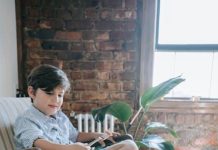 The Best Puppy Food for Small Breed Puppies This Year