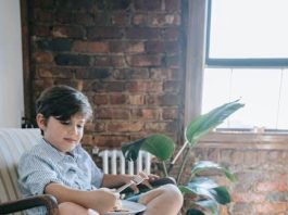 The Best Puppy Food for Small Breed Puppies This Year The Best Puppy Food for Small Breed Puppies This Year