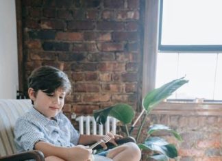 The Best Puppy Food for Small Breed Puppies This Year