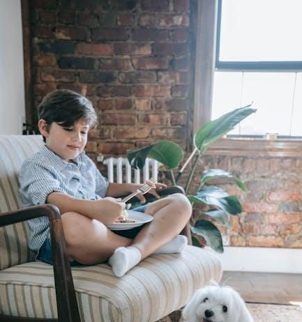 The Best Puppy Food for Small Breed Puppies This Year