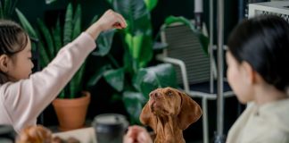 Puppy Feeding Tips for Keeping Your Dog Healthy
