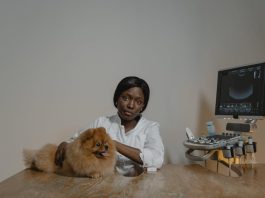 How to Keep Your Puppys Health in Check Every Day How to Keep Your Puppys Health in Check Every Day