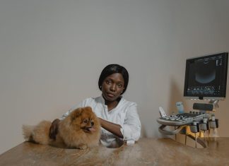 How to Keep Your Puppys Health in Check Every Day