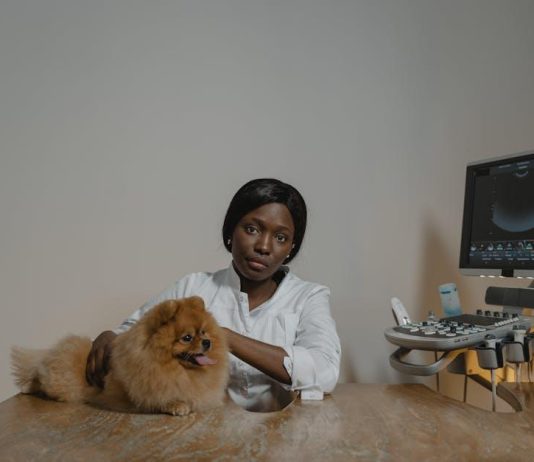 How to Keep Your Puppys Health in Check Every Day