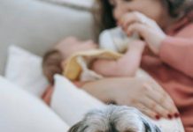 How to Feed Your Puppy for Healthy Bone Development