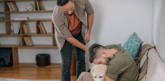 How to Help Your Puppy Build a Strong Immune System