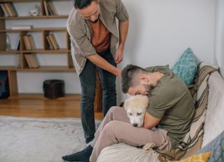How to Help Your Puppy Build a Strong Immune System