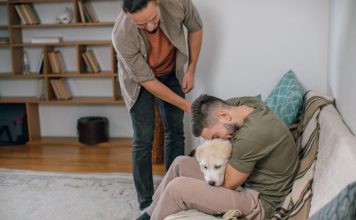 How to Help Your Puppy Build a Strong Immune System