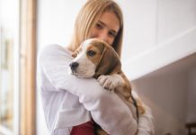 Best Ways to Care for Your Puppys Eyes and Ears